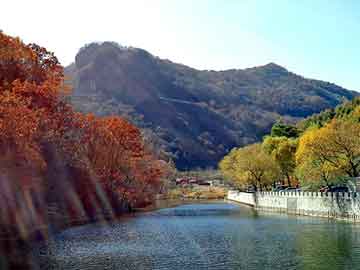 新澳天天开奖资料大全旅游团，界面剂市场价格